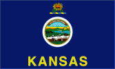 Kansas state flag